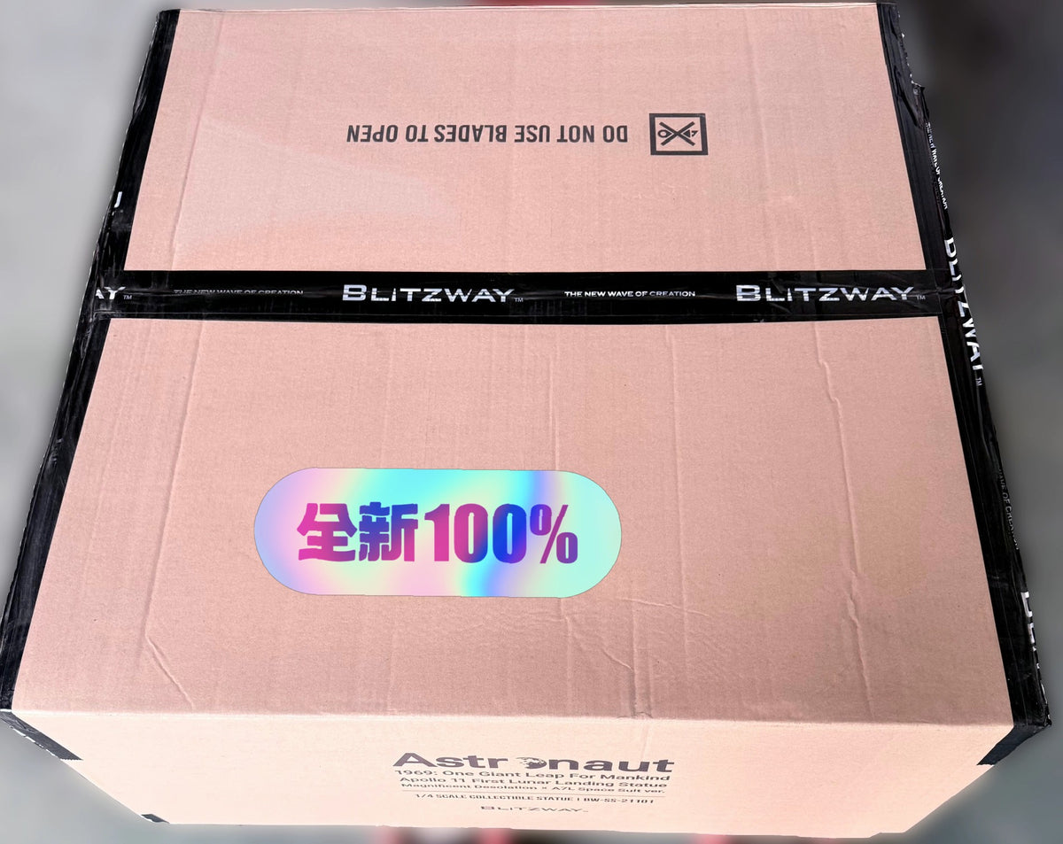 Scale Model BLITZWAY BW-SS-21101 1:4 - immagine 4