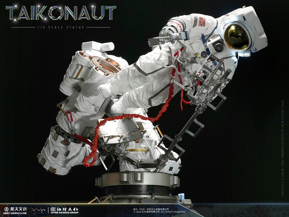 Scale Model TAIKONAUT 1:4 - immagine 2
