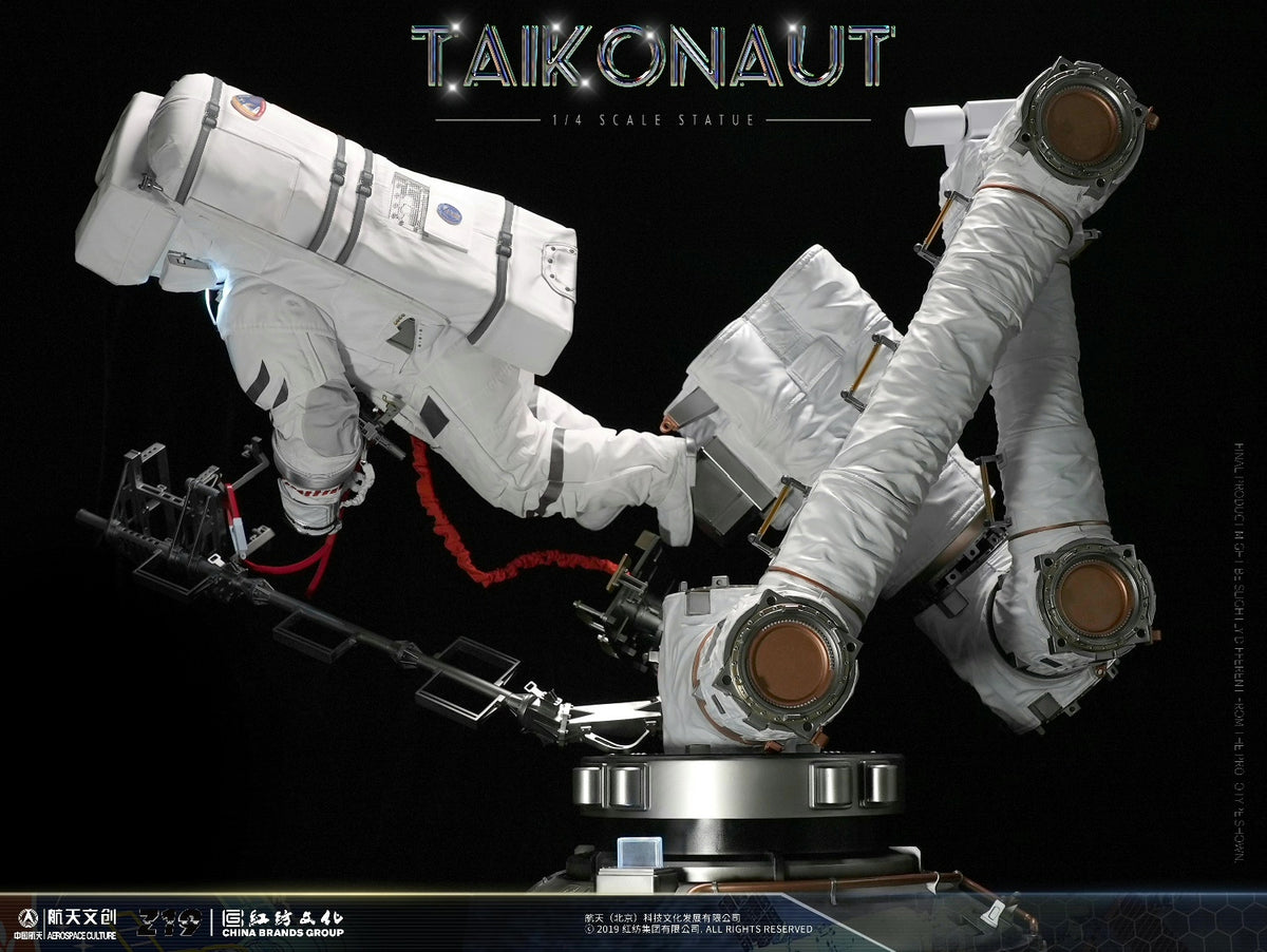 Scale Model TAIKONAUT 1:4 - immagine 3