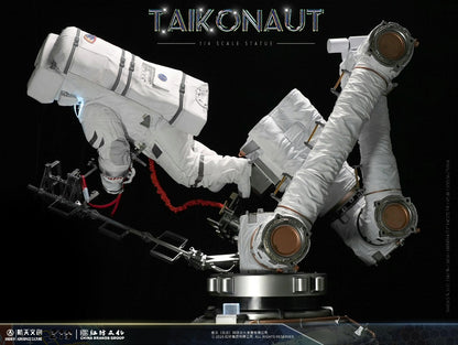 Scale Model TAIKONAUT 1:4 - immagine 3