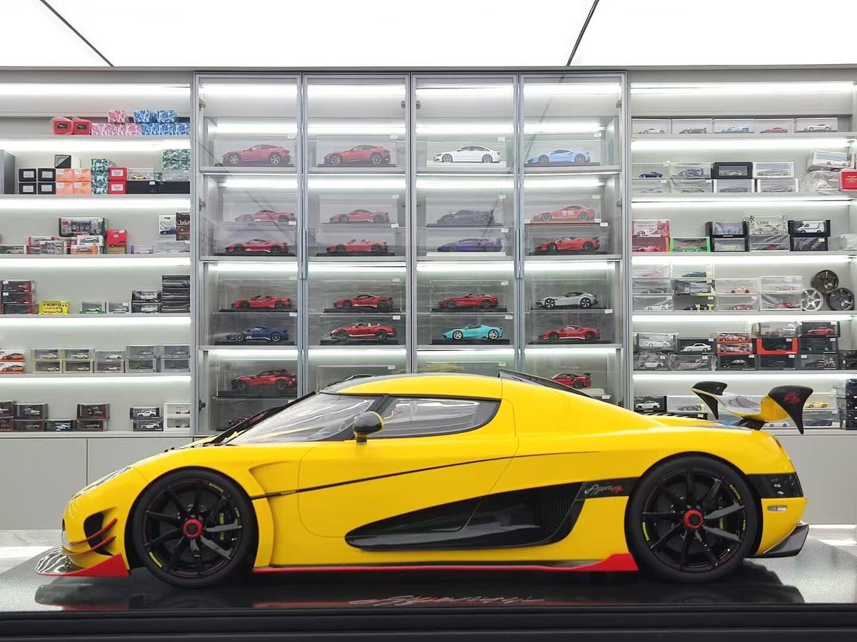 FRONTIART Agera ML 1:8 - immagine 4