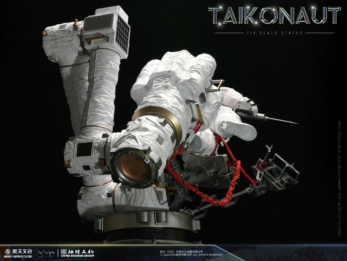Scale Model TAIKONAUT 1:4 - immagine 4