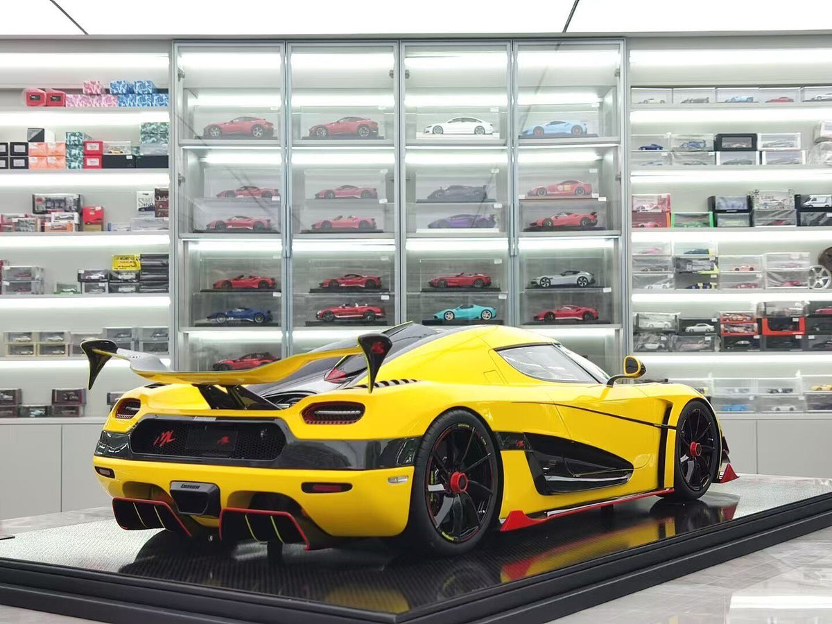 FRONTIART Agera ML 1:8 - immagine 5