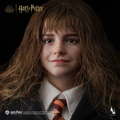 INART 1/6 Hermione Granger Harry Potter and the Philosopher’s Stone Figure (A011D1)
