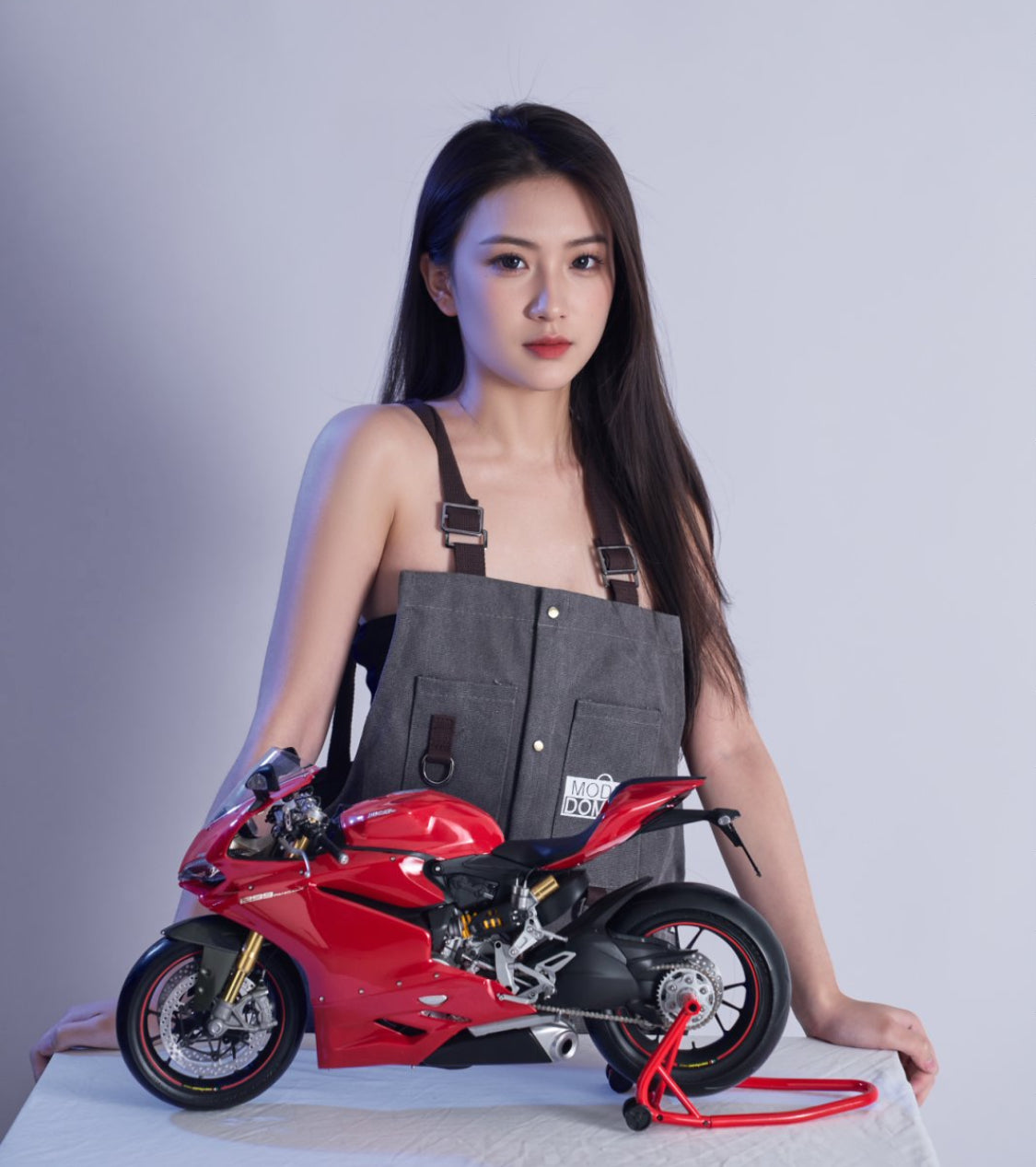 Pocher 1/4 Ducati 1299 Panigale S Fully Assembled Static Display Model