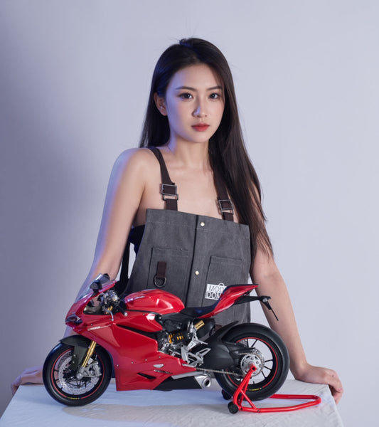 Pocher 1/4 Ducati 1299 Panigale S Fully Assembled Static Display Model