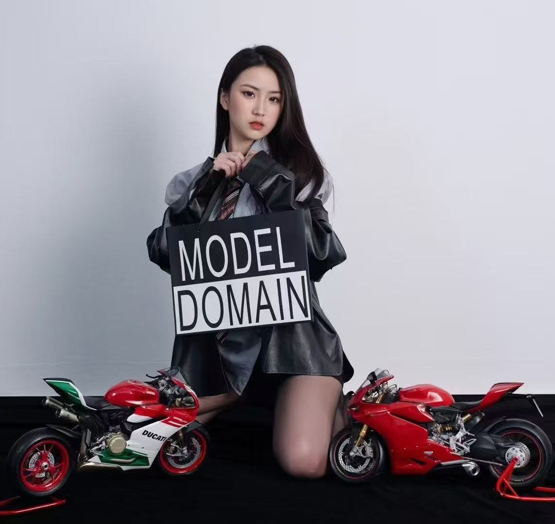 Pocher 1/4 Ducati 1299 Panigale S Fully Assembled Static Display Model