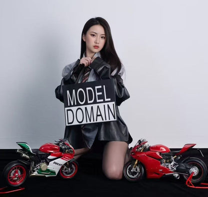 Pocher 1/4 Ducati 1299 Panigale S Fully Assembled Static Display Model