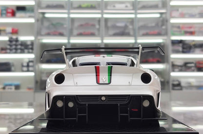 CE 1/18 Ferrari 599XX EVO #91 White Resin Model