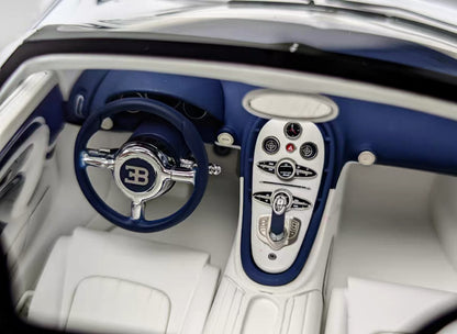 HH 1/18 Bugatti Veyron Resin Model Ceramic Dragon Livery