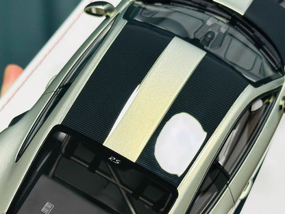 Davis & Giovanni 1/18 Porsche 911 GT2 RS MR 991 Urban Bamboo Carbon Stripe
